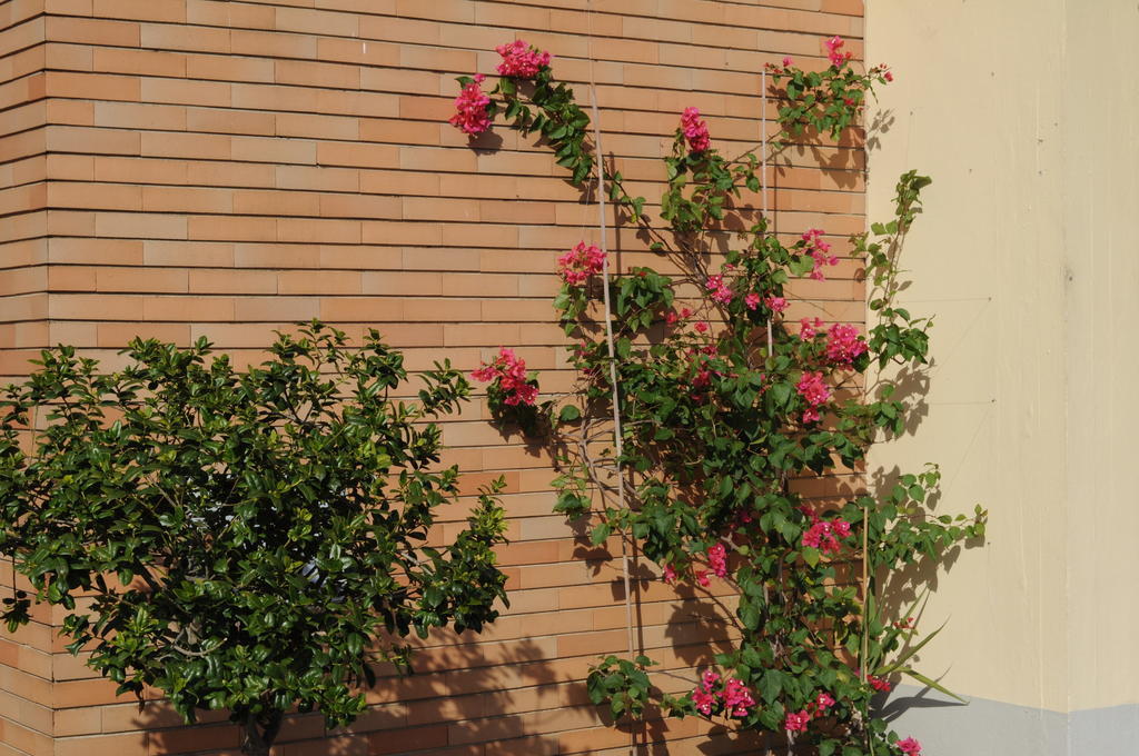 Marinetta Bed & Breakfast Signa Exterior photo